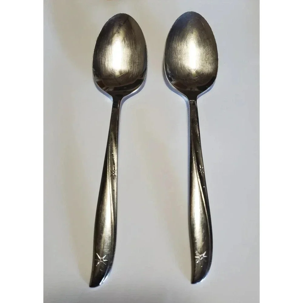 2 Pcs Twin Star by Oneida Community Stainless Steel Solid Large Serving Spoon